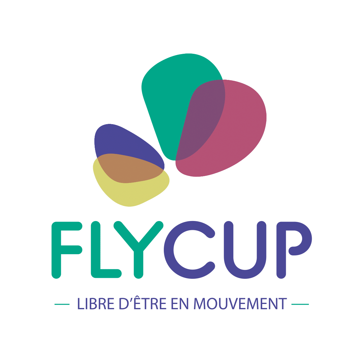 Flycup